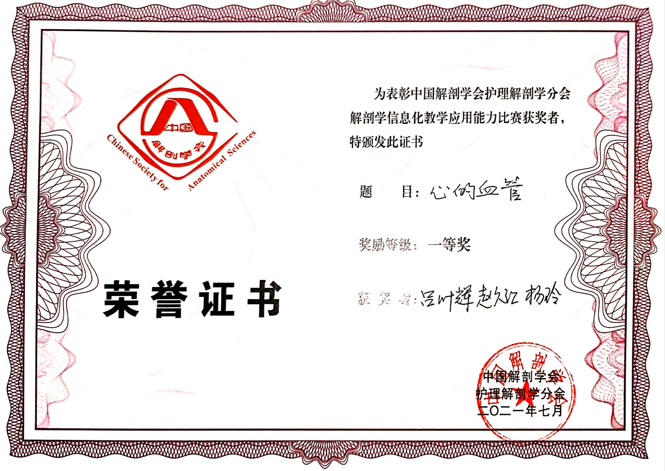 【"行"在健康】上健医师生在中国解剖学会护理解剖学分会比赛中喜获